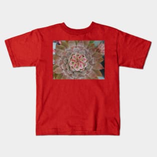 Sempervivum Bird Eye Arial View Kids T-Shirt